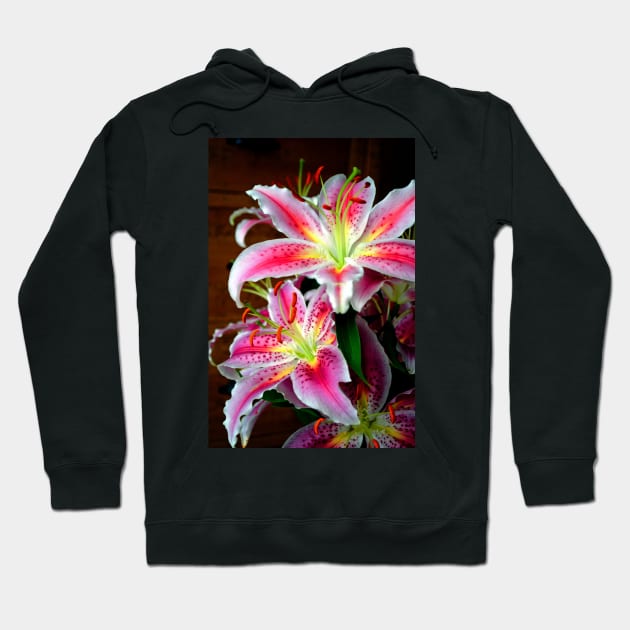 Pink Lily Lilium Herbaceous Flowering Plants Hoodie by AndyEvansPhotos